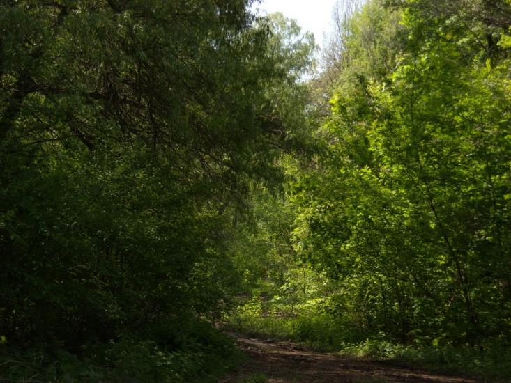 Святилівка з panoramio.com - Святиловка