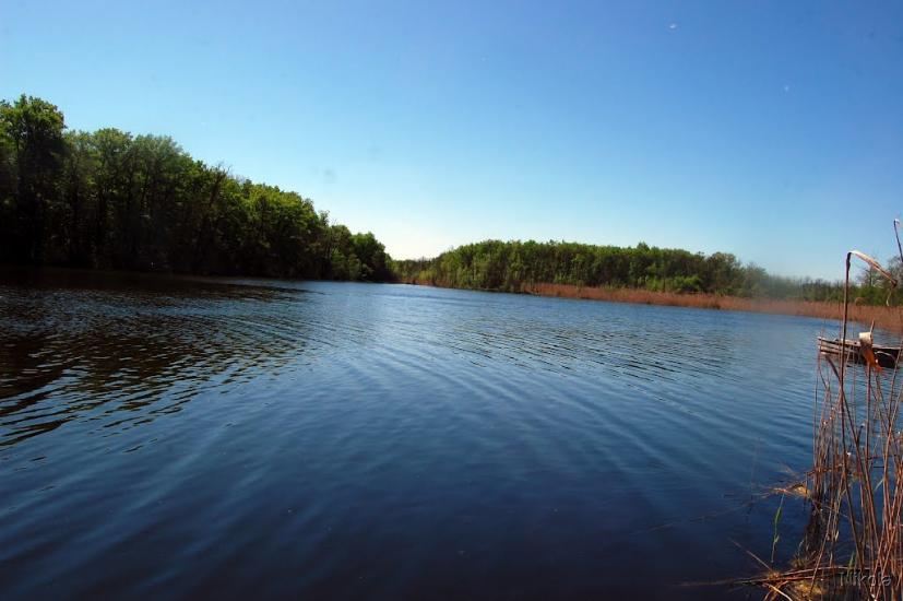 Серебрянка з panoramio.com - Serebryanka