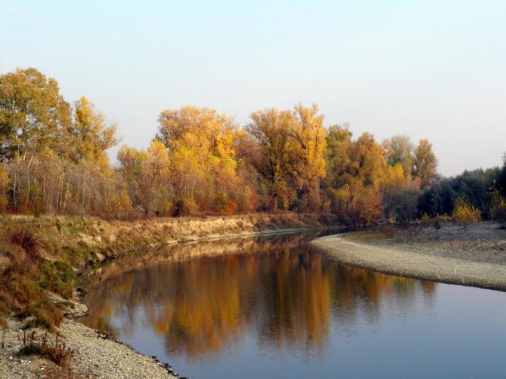 Нове Село з panoramio.com - Нове Село