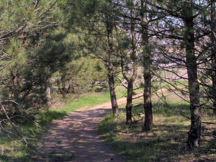 Чернігівка з panoramio.com - Чернігівка