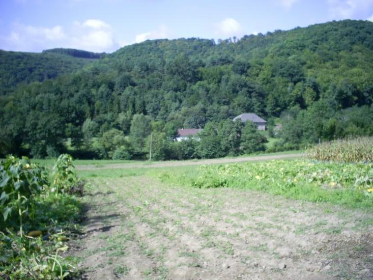 Сновидів з panoramio.com - Сновидів