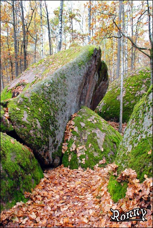 Рудня-Замисловицька з panoramio.com - Рудня-Замисловицька