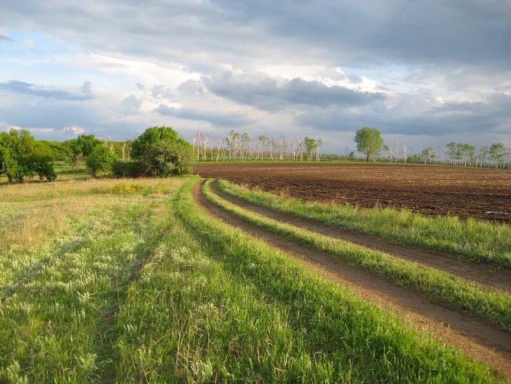 Красний Деркул з panoramio.com - Krasnyy Derkul