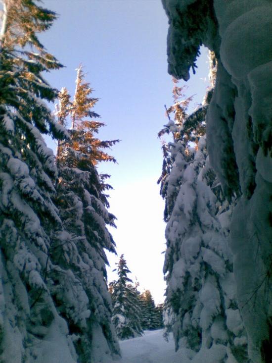 Кам'янка з panoramio.com - Каменка