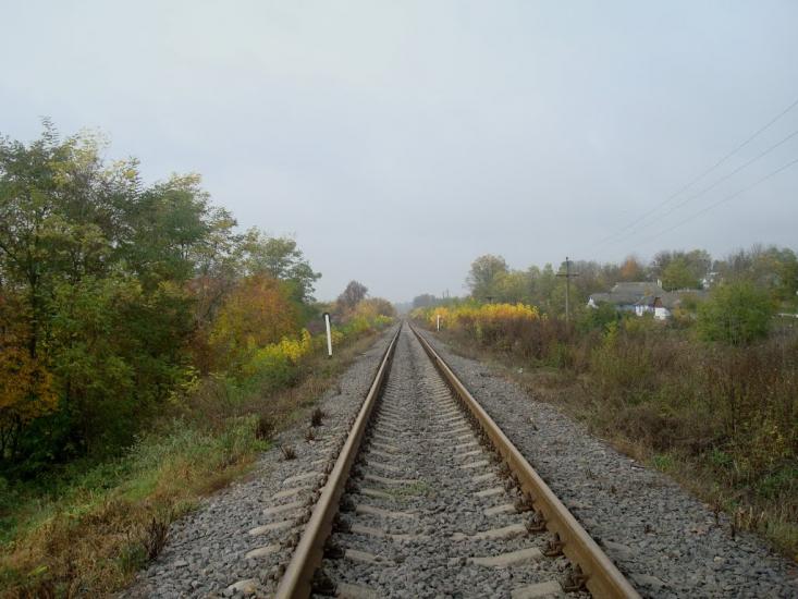 Вільхівці з panoramio.com - Ольховцы