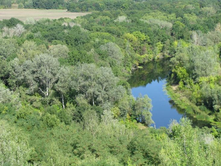 Яреськи з panoramio.com - Яреськи