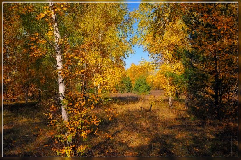 Пологи-Низ з panoramio.com - Пологи-Низ