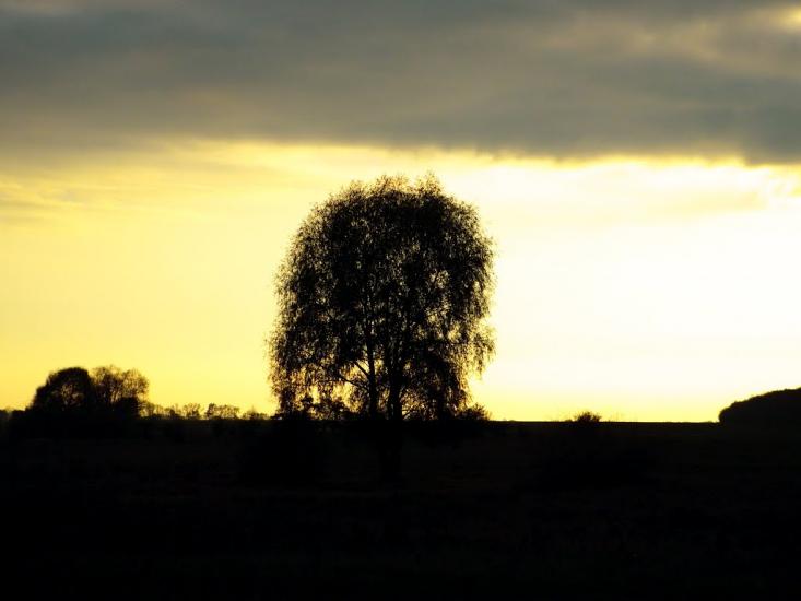 Новооріхівка з panoramio.com - Новоореховка