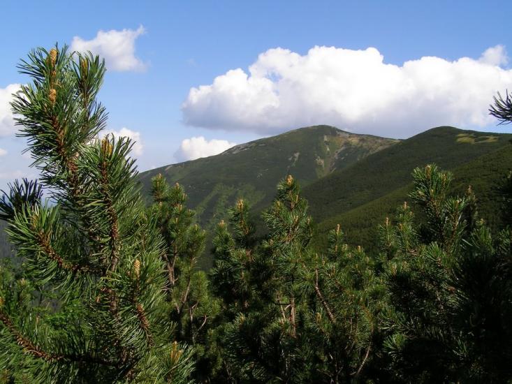 Кузьминець з panoramio.com - Кузьминець