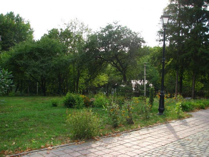 Сковородинівка з panoramio.com - Сковородинівка