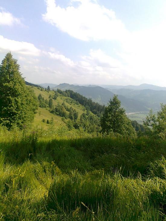 Розтоки з panoramio.com - Розтоки