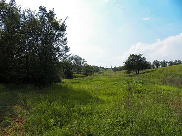 Булавинське з panoramio.com - Булавинское