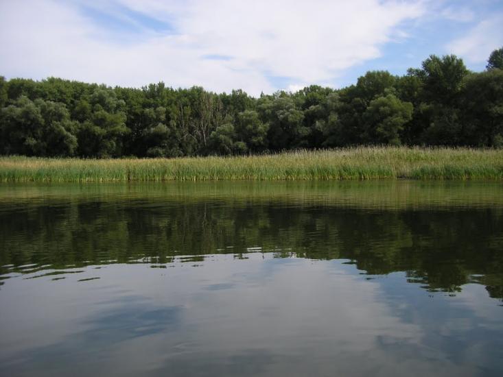 Підлиман з panoramio.com - Підлиман