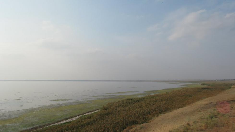 Волошине з panoramio.com - Волошино