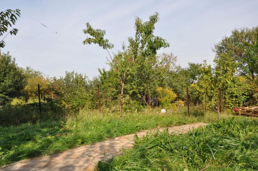 Малокостянтинівка з panoramio.com - Малоконстантиновка