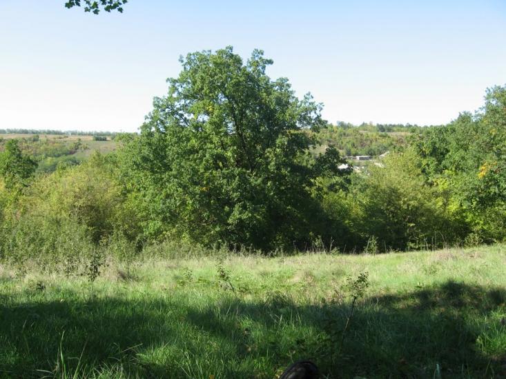 Шершенці з panoramio.com - Shershentsi