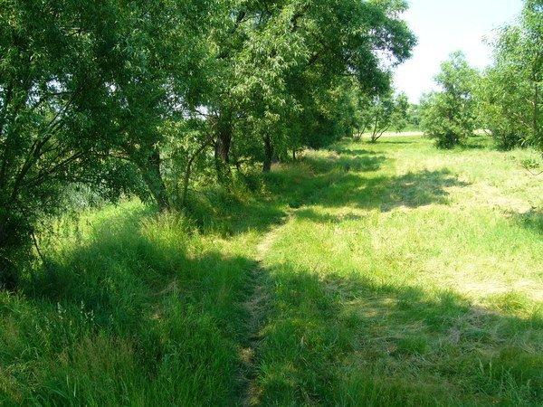 Аджамка з panoramio.com - Аджамка