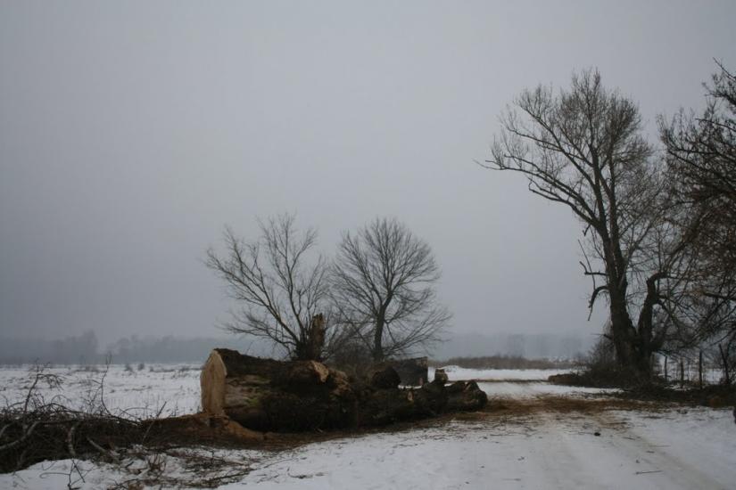 Молниця з panoramio.com - Молниця