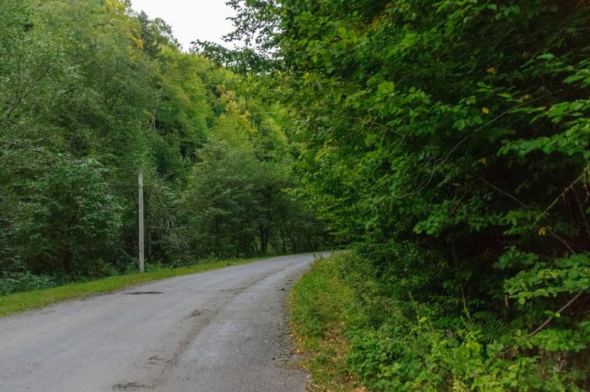 Буковець з panoramio.com - Буковец