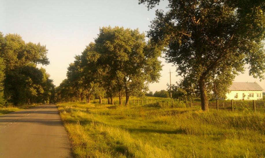 Погибляк з panoramio.com - Погибляк