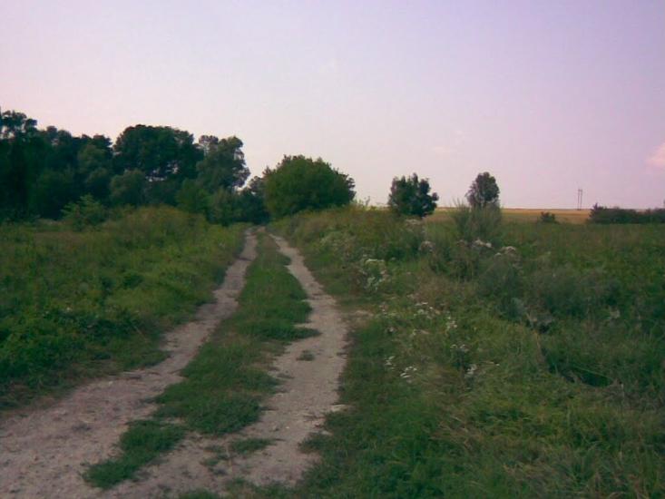 Раціборівка з panoramio.com - Рациборовка
