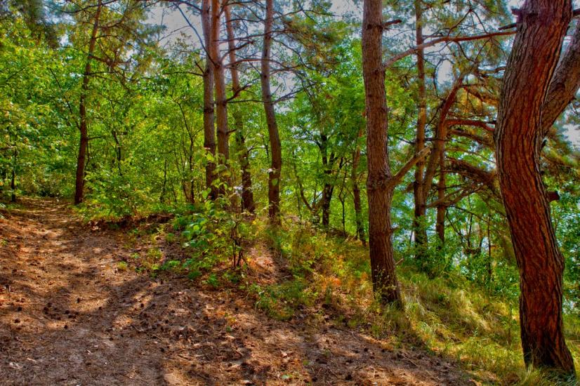 Хотімля з panoramio.com - Хотимля