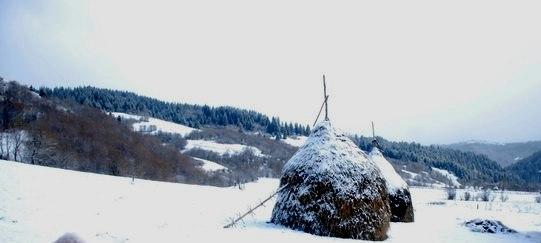 Річка з panoramio.com - Річка