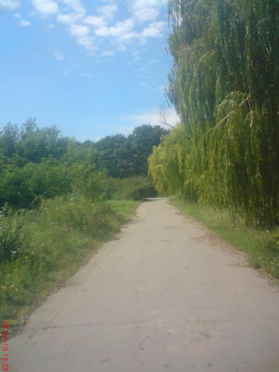Чорна Кам'янка з panoramio.com - Черная Каменка