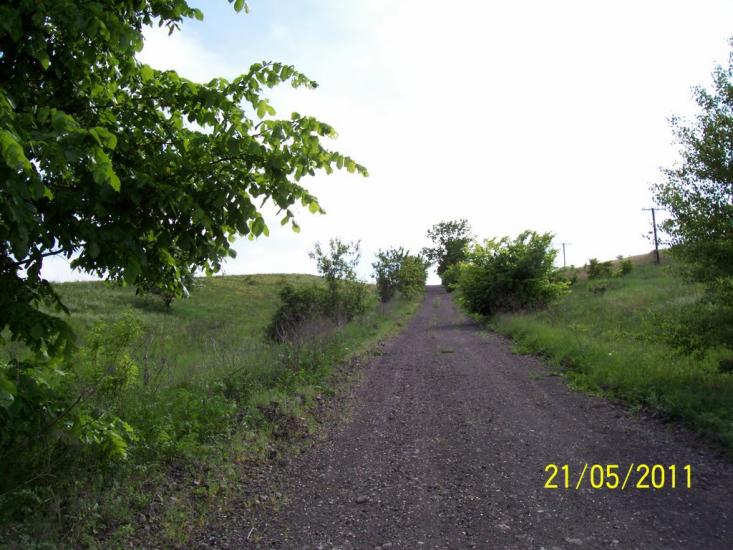 Пискунівка з panoramio.com - Pyskunivka