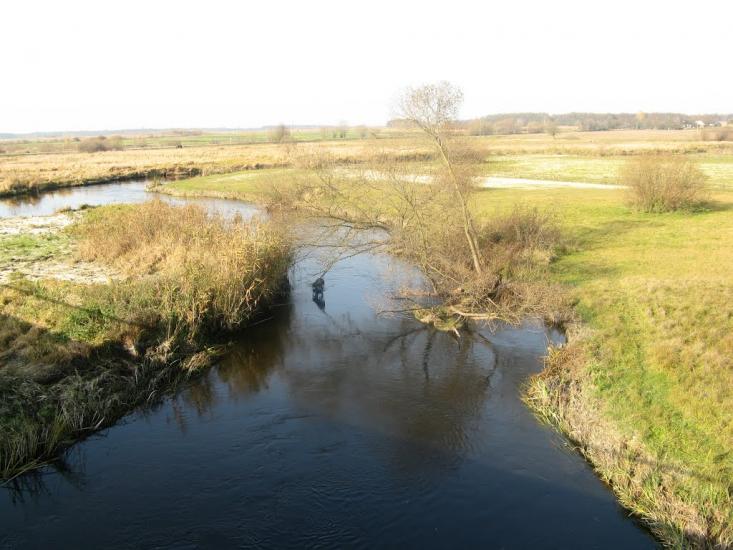 Заріччя з panoramio.com - Zarichchya