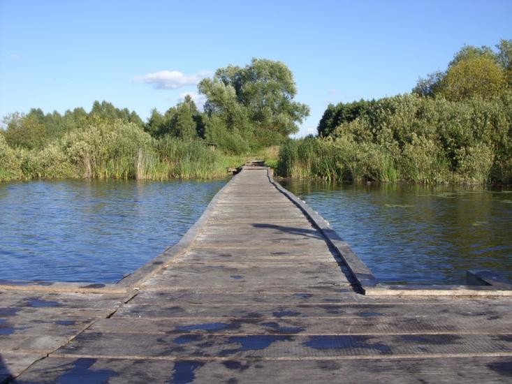 Турійськ з panoramio.com - Турийск