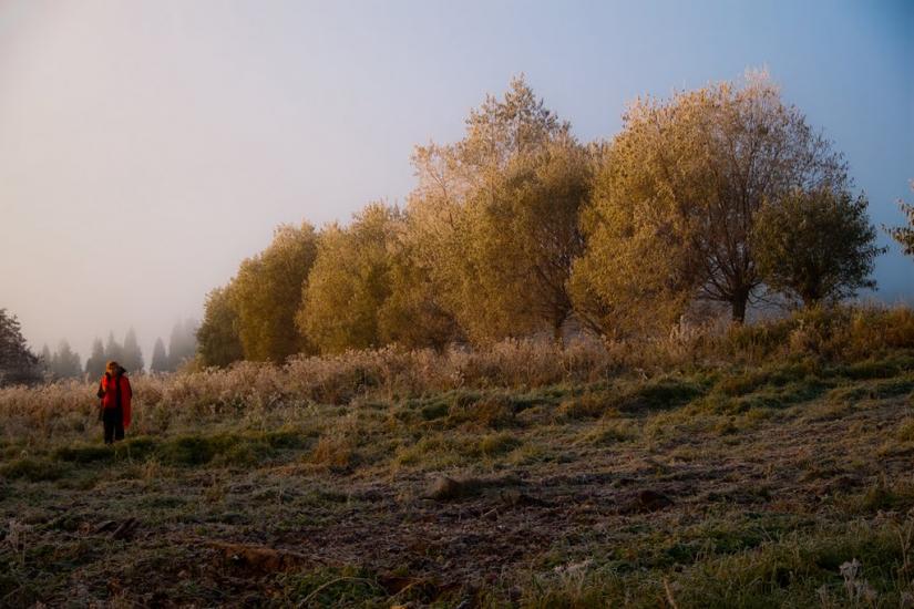 Шандровець з panoramio.com - Шандровец
