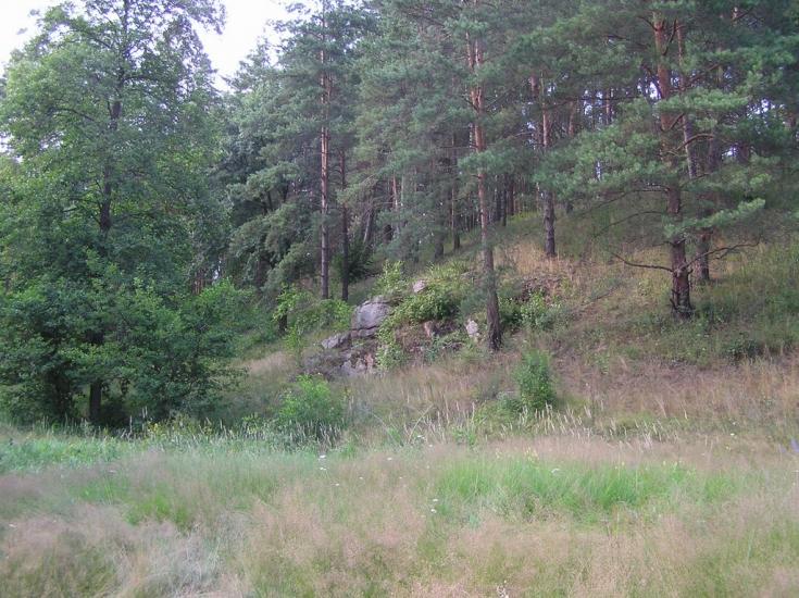 Струмок з panoramio.com - Струмок