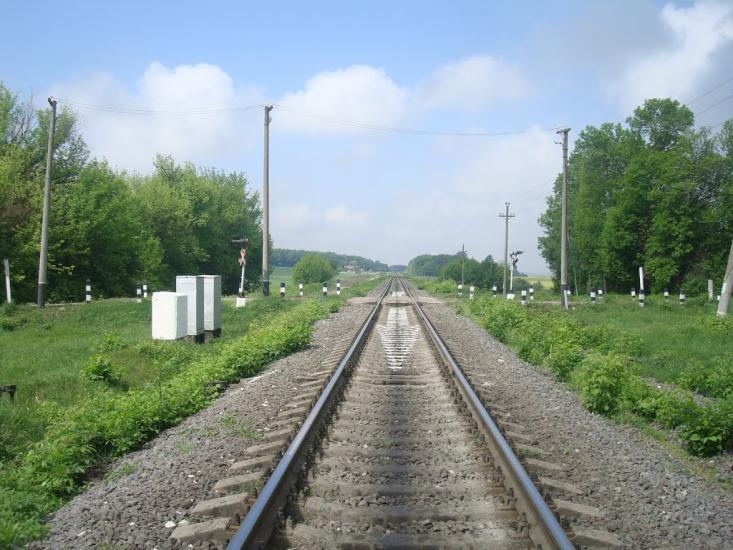 Нестерівці з panoramio.com - Нестеровцы