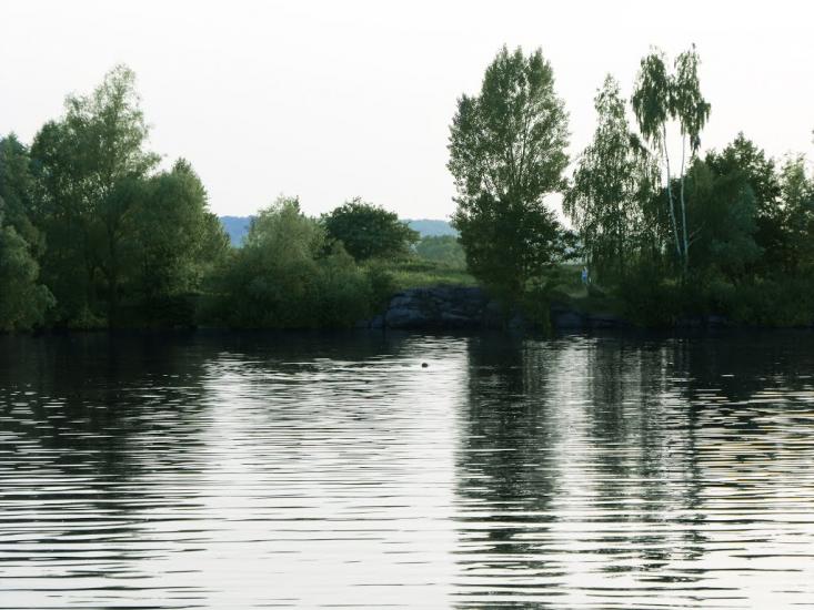 Бушеве з panoramio.com - Busheve
