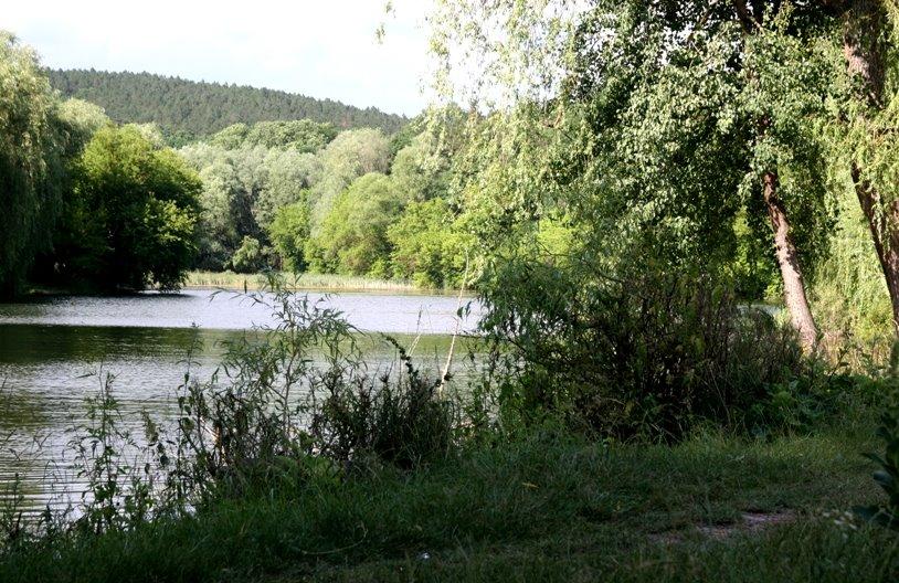 Юрківці з panoramio.com - Юрковцы