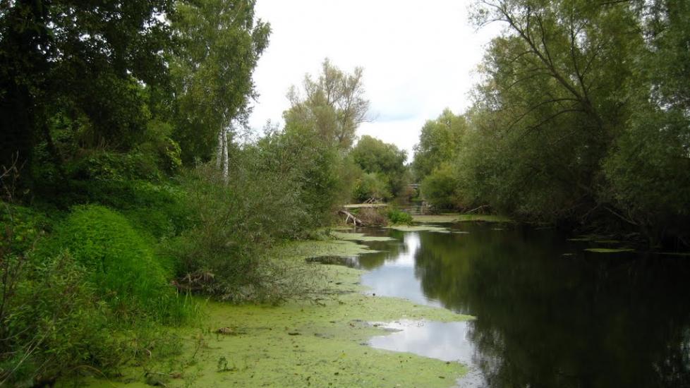 Руднєве з panoramio.com - Руднєве