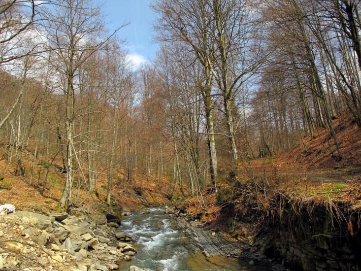 Лумшори з panoramio.com - Лумшоры