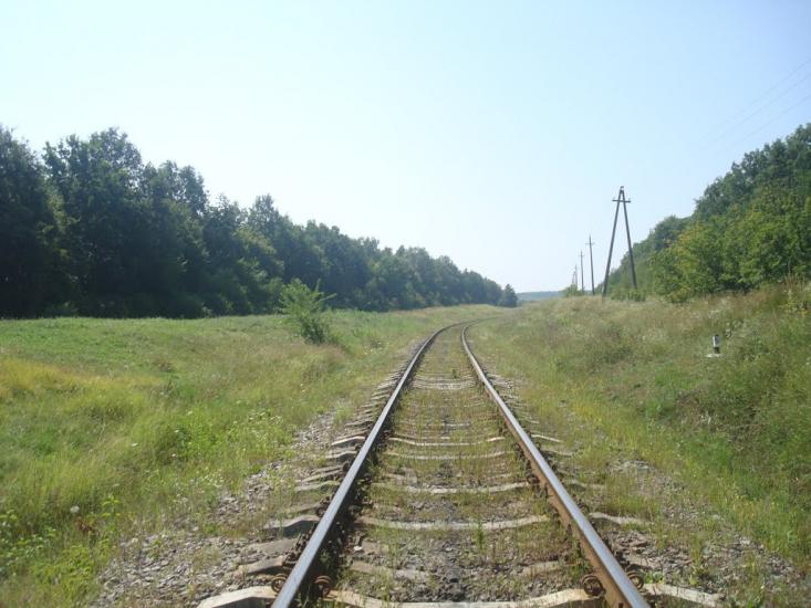 Тарасівка з panoramio.com - Тарасовка