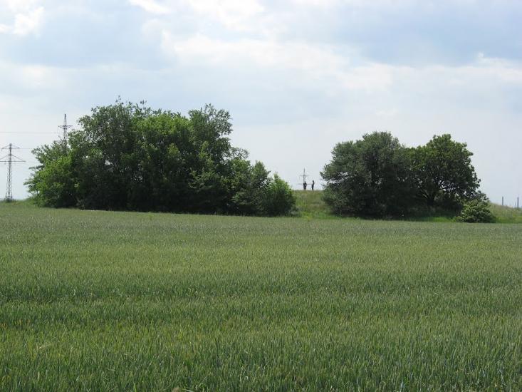 Придніпрянське з panoramio.com - Приднепрянское