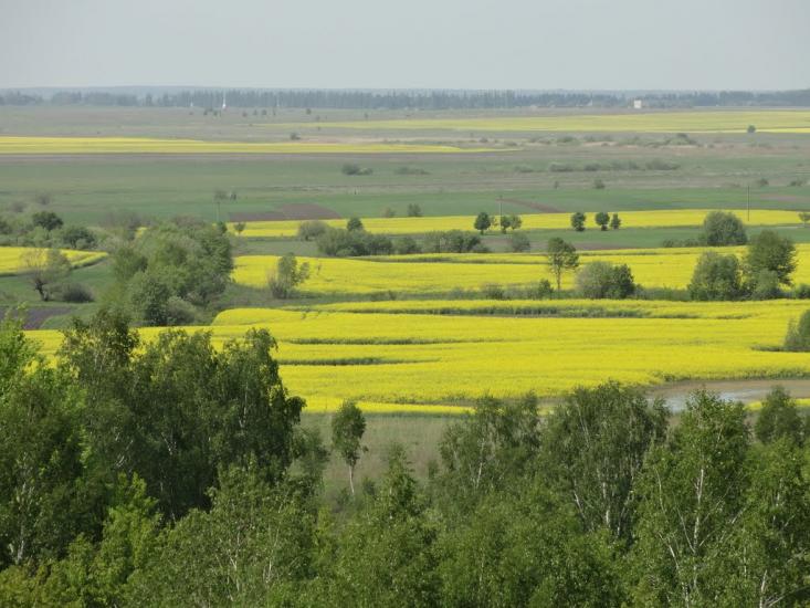 Веселе з panoramio.com - Веселое