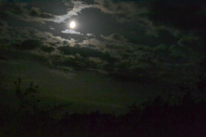 Новостав з panoramio.com - Новостав