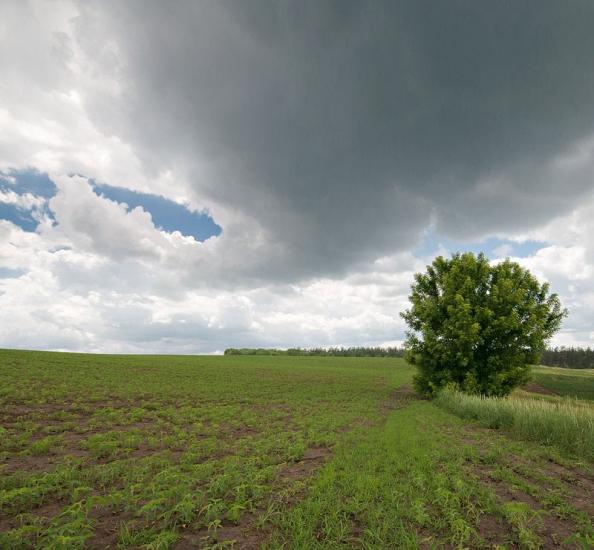 Гулі з panoramio.com - Гулі