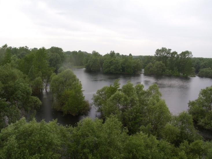 Остер з panoramio.com - Oster