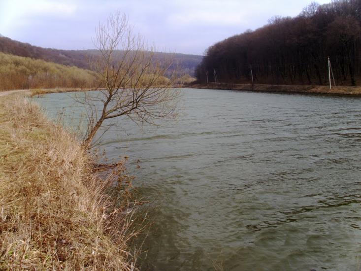 Кринцілів з panoramio.com - Кринцілів
