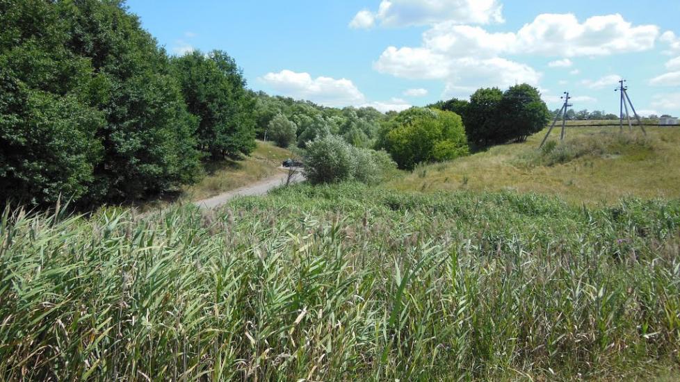 Шестакове з panoramio.com - Шестакове