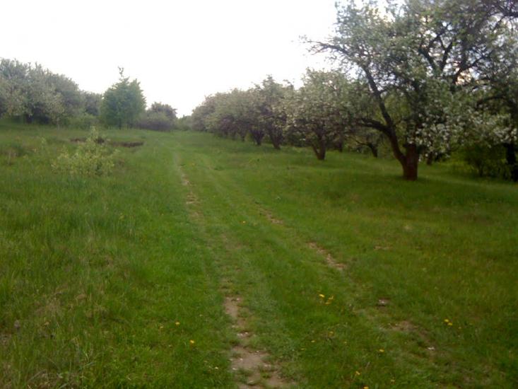 Дацьки з panoramio.com - Дацьки