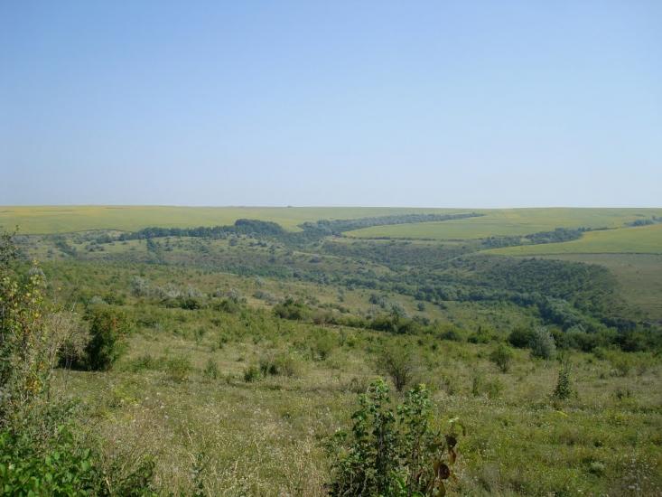 Тарасівка з panoramio.com - Тарасовка