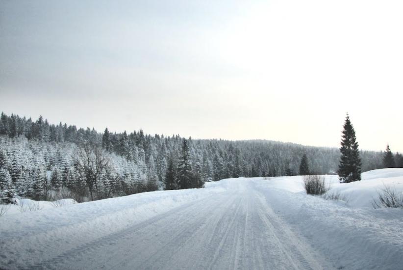 Нижня Яблунька з panoramio.com - Нижня Яблунька