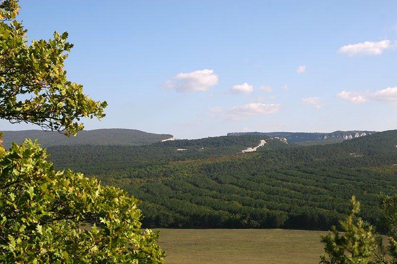 Холмівка з panoramio.com - Холмовка